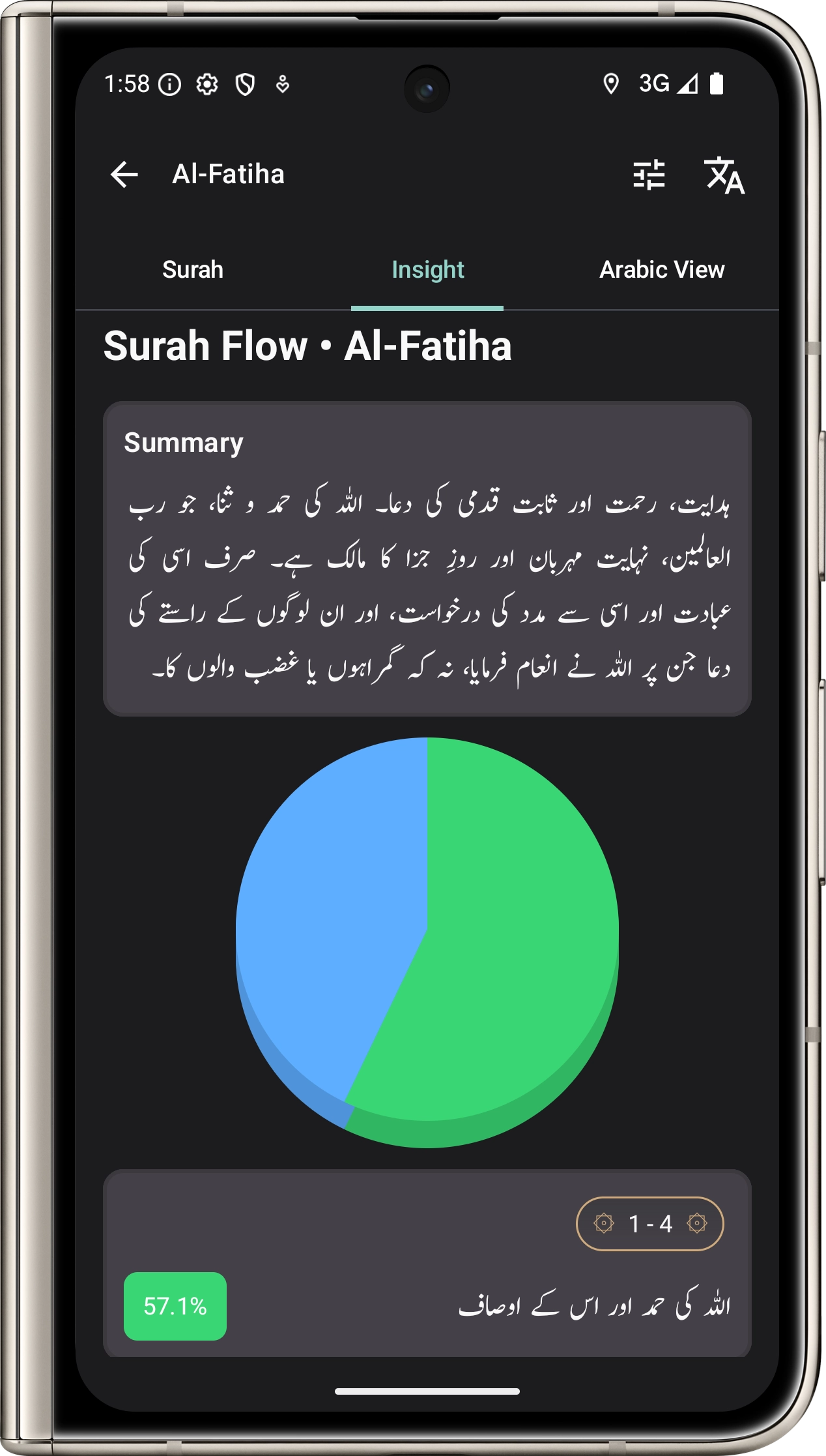 Surah Insights screen